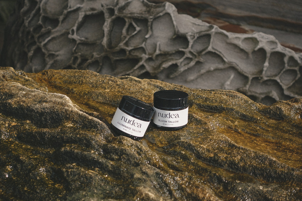 Nudea Bloom Tallow Balm and Illuminate Tallow Balm resting on textured coastal rocks — natural skincare and clean beauty from Australia, crafted for radiant and balanced skin.