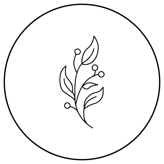 Icon representing Nudea’s unique blend of grass-fed tallow and healing botanicals in skincare