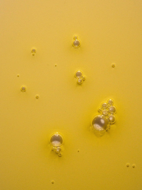 tallow elixir body oil