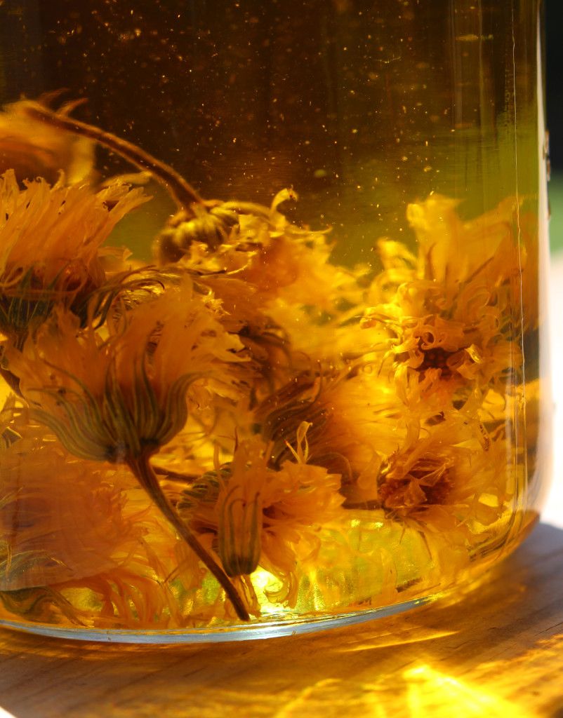 Calendula flowers infused in oil — a gentle, natural remedy for soothing baby eczema