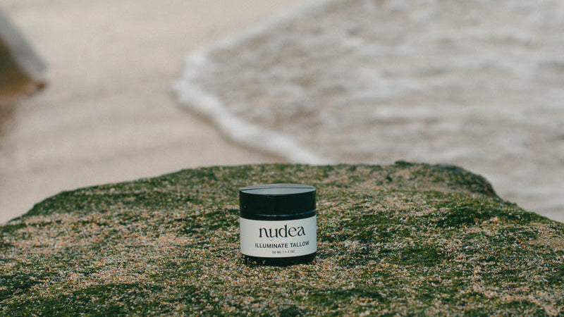 Nudea Illuminate Tallow Balm jar placed on a mossy rock by the ocean — natural skincare and clean beauty crafted in Australia for radiant, healthy skin.